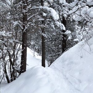 Meet your Posher, Ash